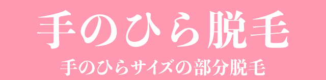 手のひら脱毛(手のひらサイズの部分脱毛) 手のひら脱毛(手のひらサイズの部分脱毛)