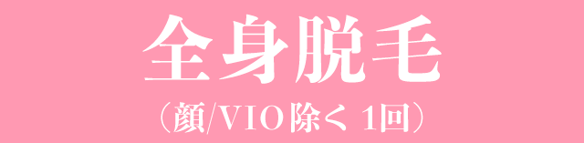 全身脱毛(顔・VIO除く 1回) 全身脱毛(顔・VIO除く 1回)